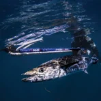 Pathos LASER OCEAN ROLLER - Image 8