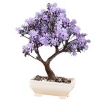 ΓΛΑΣΤΡΑΚΙ ΒΟΤΣΑΛΑ ΜΕ ΔΕΝΤΡΑΚΙ 25x17cm Homie 422996-ΤΕΜ(1) - Image 2