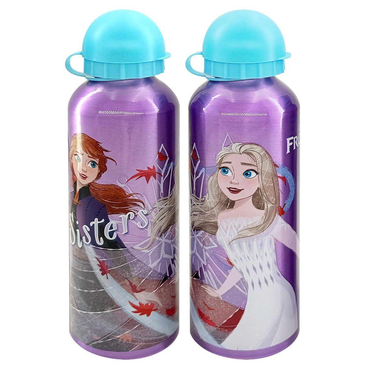ΠΑΓΟΥΡΙ ΜΕΤΑΛΛΙΚΟ FROZEN 2 21x6,5cm   500ml Disney 4016-8490M-ΤΕΜ(1) - Image 1
