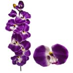 Ορχιδέα κλαδί 63cm Bunny's 93652-ΤΕΜ(5) - Image 2