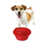 ΤΑΪΣΤΡΑ/ΜΠΟΛ ΤΑΞΙΔΙΟΥ PET TRAVEL BOWL 500 ml ΓΙΑ ΣΚΥΛΟΥΣ/ΓΑΤΕΣ/ΚΑΤΟΙΚΙΔΙΑ ΖΩΑ (ΣΙΛΙΚΟΝΗ/ΔΙΑΦΟΡΑ ΧΡΩΜΑΤΑ) - Image 5